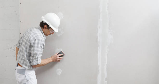 Best Drywall Texturing  in Scottsbluff, NE